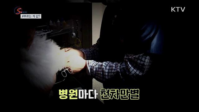 동물 이빨 뽑는데 40만 원? [S&News]