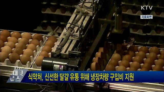 식약처, 신선한 달걀 유통 위해 냉장차량 구입비 지원