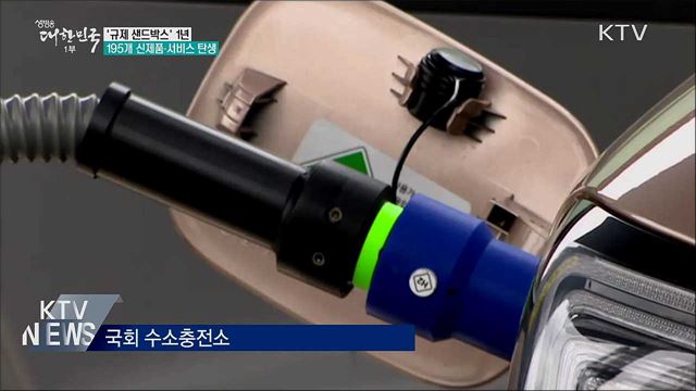 '규제 샌드박스' 1년···195개 신제품·서비스 탄생