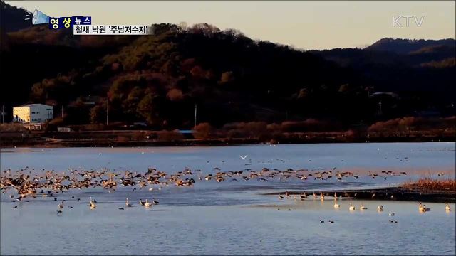 철새 낙원 '주남저수지' [한국의 美]