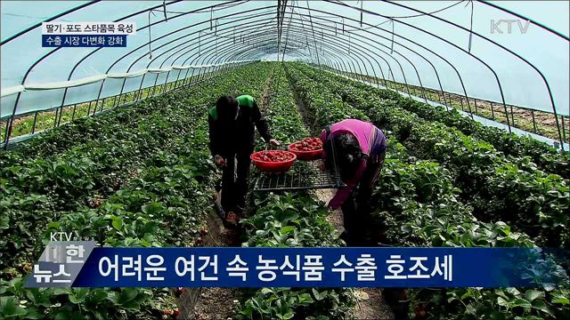 수출효자 '딸기·포도' 집중 육성···수출 시장 다변화