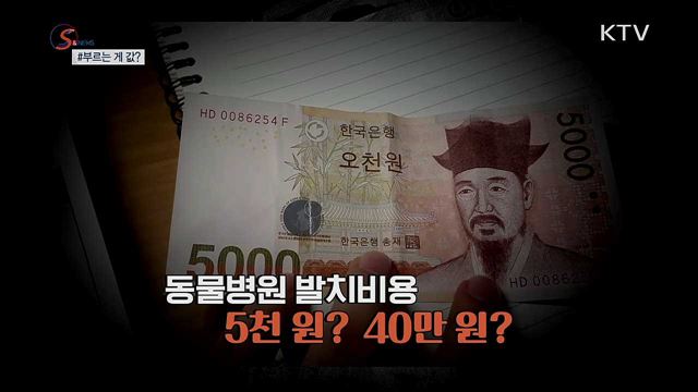 동물 이빨 뽑는데 40만 원? [S&News]