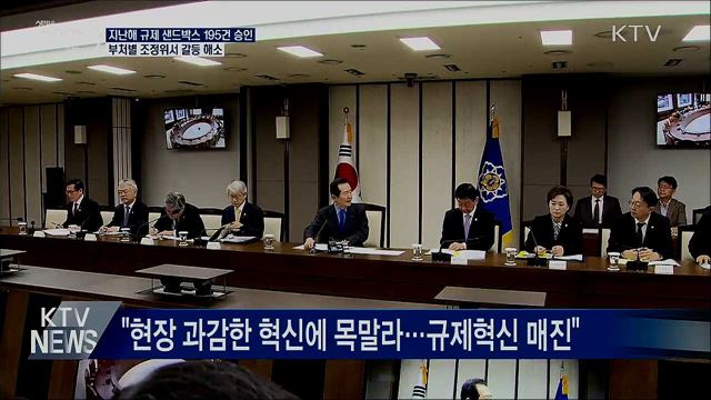 '규제 샌드박스'195건···부처별 조정위서 갈등 해소