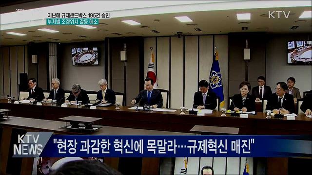 '규제 샌드박스'195건···부처별 조정위서 갈등 해소