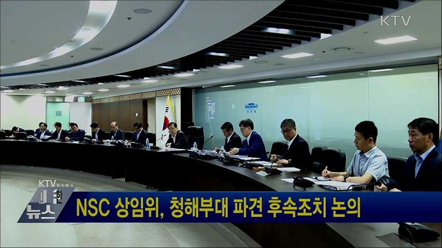 NSC 상임위, 청해부대 파견 후속조치 논의