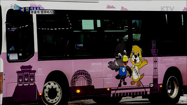 시내 교통망 촘촘히 연결···분홍색 땡큐버스 