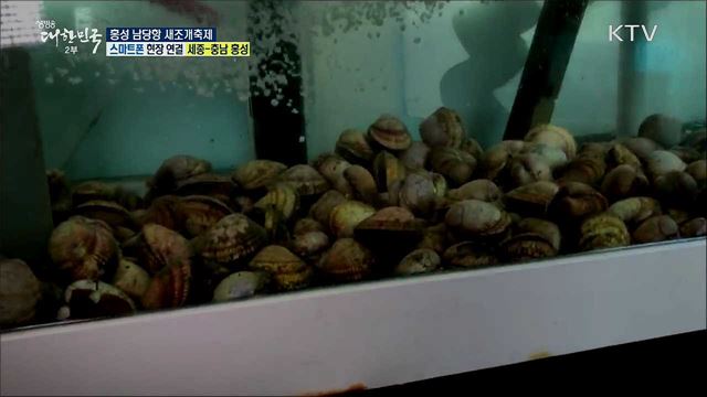바다 보며 즐기는 별미! 홍성 남당항 새조개축제