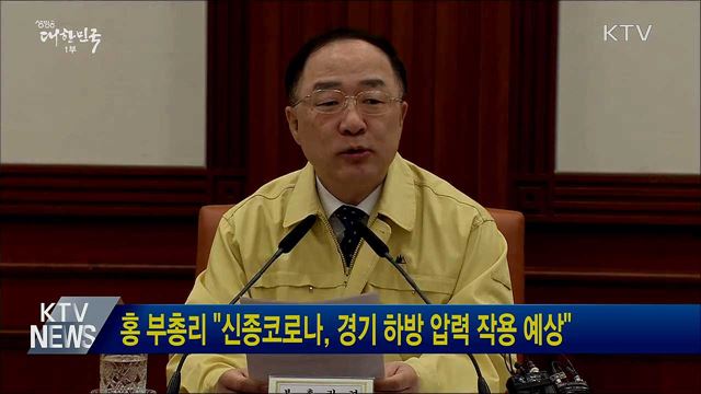 홍 부총리 "신종코로나, 경기 하방 압력 작용 예상"