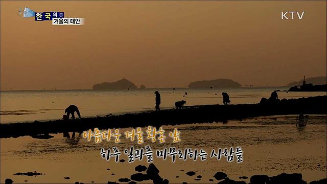 겨울의 태안 [한국의 美]