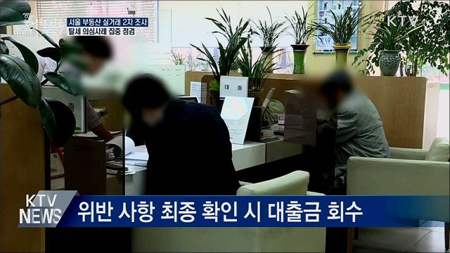 서울 부동산 실거래 2차 조사···절반이 이상 거래