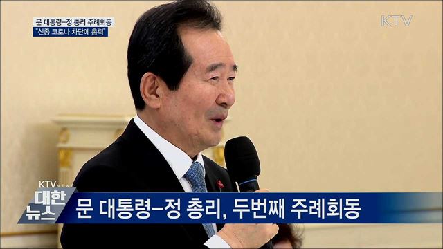 "신종 코로나, 총리 중심 내각 총력 대응"