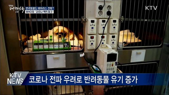 반려동물도 바이러스 전파?···'코로나 팩트체크'