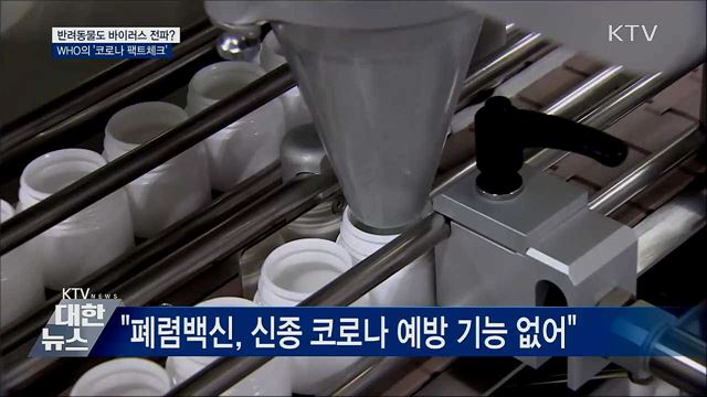 반려동물도 바이러스 전파?···'코로나 팩트체크'