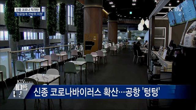 신종 코로나 직격탄···"항공업계 전방위 지원"