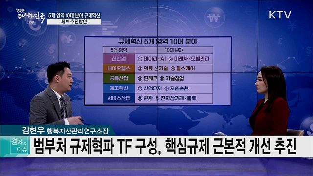 5개 영역 10대 분야 규제혁신, 세부 추진방안 [경제&이슈]