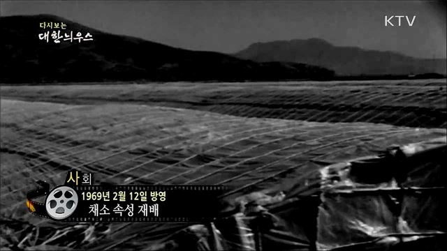 다시보는 대한늬우스 (69. 2. 12)