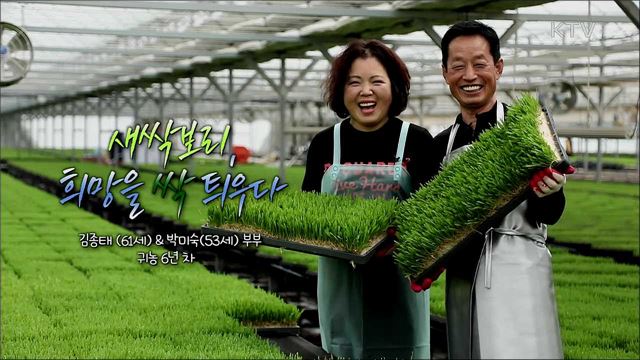 새싹 보리 부부, 희망을 싹 틔우다