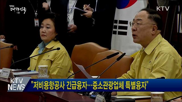 "저비용항공사 긴급융자···중소관광업체 특별융자"