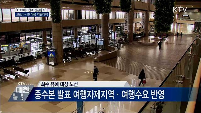 "LCC에 3천억 긴급융자···해운 긴급경영자금 신설"