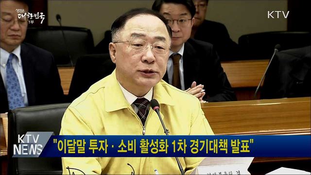 "이달말 투자·소비 활성화 1차 경기대책 발표"