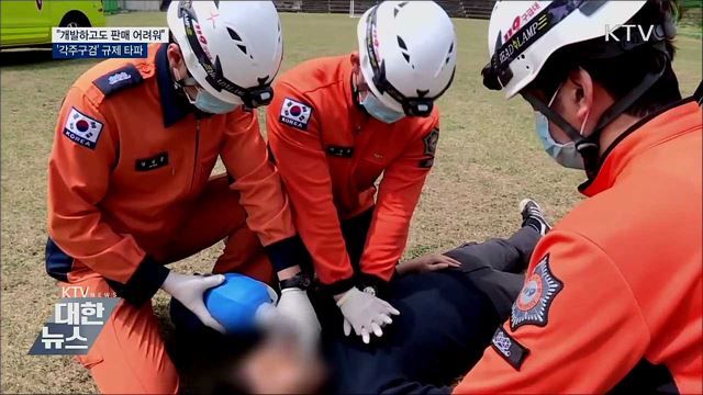 "개발하고도 판매 어려워"···'각주구검' 규제 타파