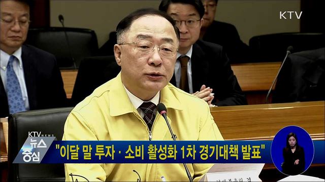 "이달말 투자·소비 활성화 1차 경기대책 발표"