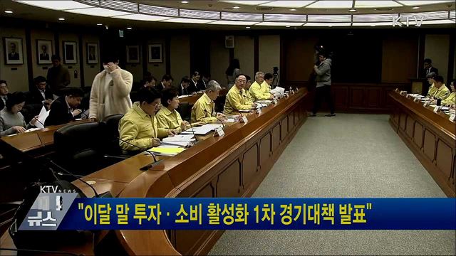 "이달 말 투자·소비 활성화 1차 경기대책 발표"