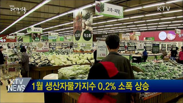 1월 생산자물가지수 0.2% 소폭 상승