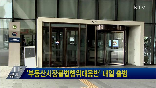 '부동산시장불법행위대응반' 내일 출범
