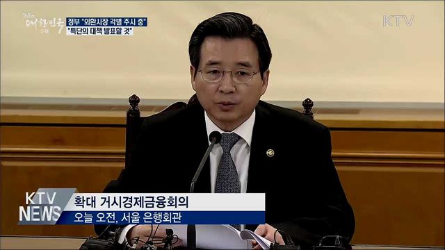 기재차관 "환율 과도하게 쏠리면 필요 조치"