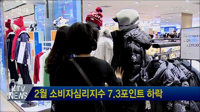 2월 소비자심리지수 7.3포인트 하락