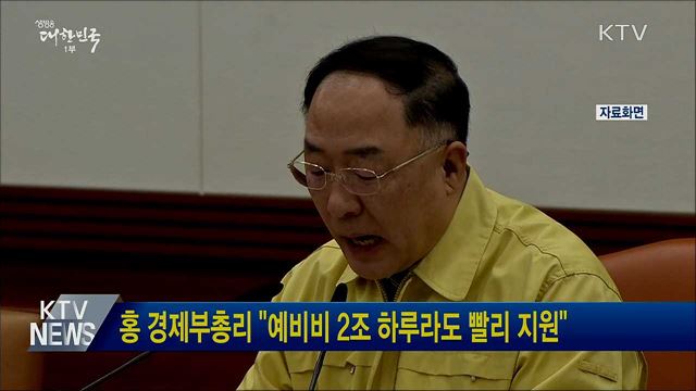 홍 경제부총리 "예비비 2조 하루라도 빨리 지원"