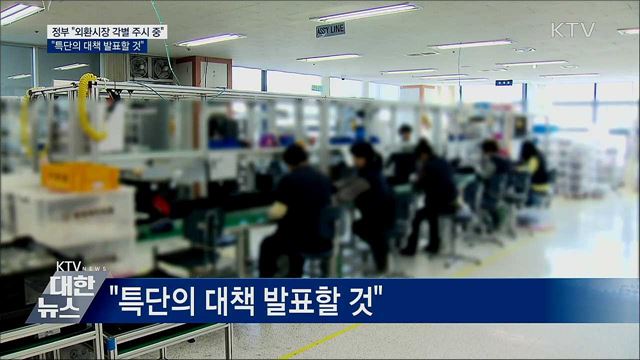 기재차관 "환율 과도하게 쏠리면 필요 조치"