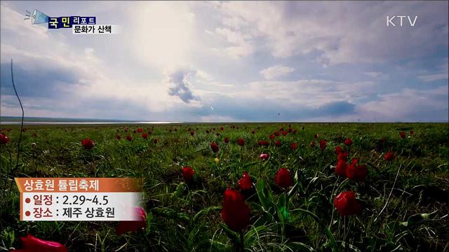 이주의 문화가 산책 (20. 02. 27. 07시)