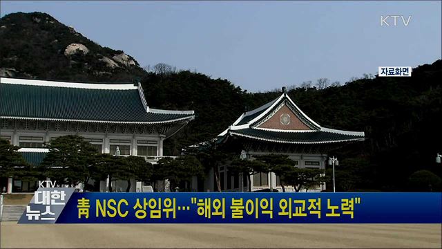 靑 NSC 상임위···"해외 불이익 외교적 노력"