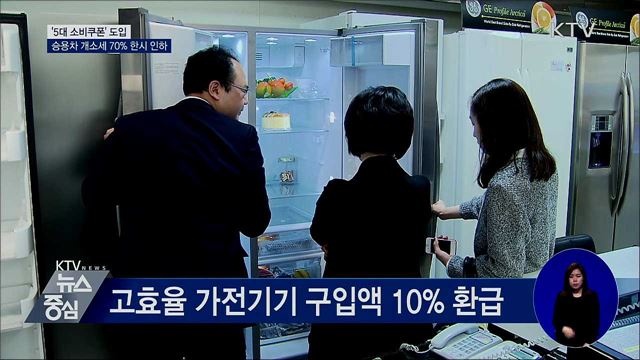 '5대 소비쿠폰' 도입···승용차 개소세 70% 한시 인하