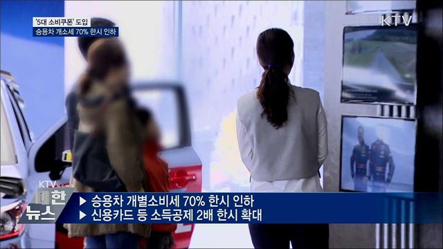 '5대 소비쿠폰' 도입···승용차 개소세 70% 한시 인하