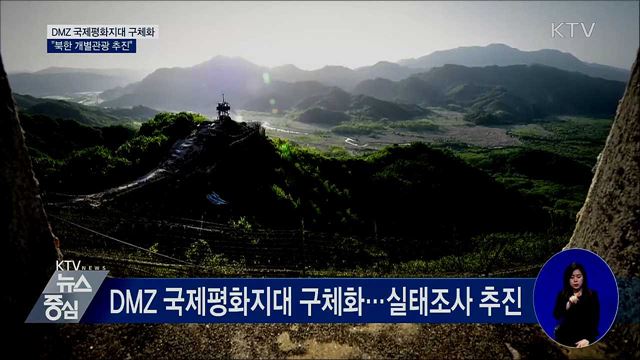 "DMZ 국제평화지대 구체화···북한 개별관광 추진"