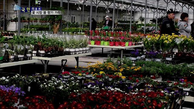 봄 향기 가득···꽃 시장 나들이 가요 