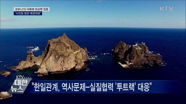 "코로나19 극복 외교력 집중···시진핑 방한 예정대로"
