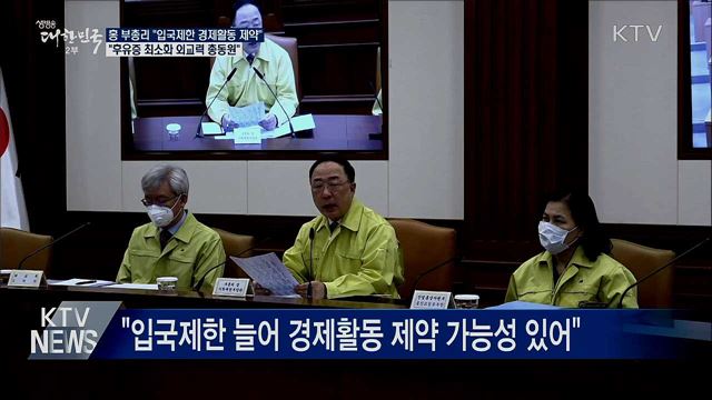 홍 부총리 "입국제한 후유증 최소화에 외교력 총동원"