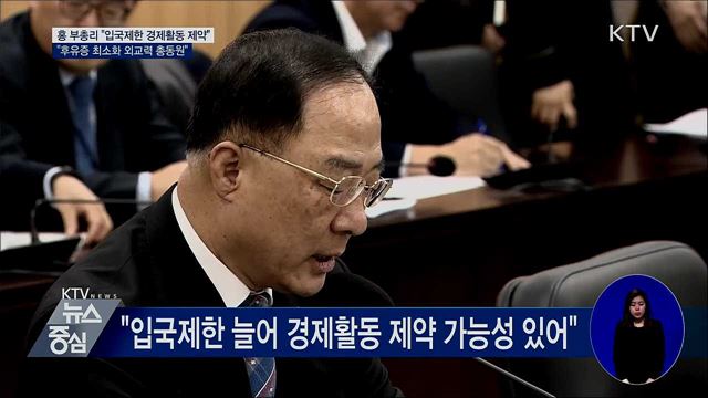 홍 부총리 "입국제한 후유증 최소화에 외교력 총동원"