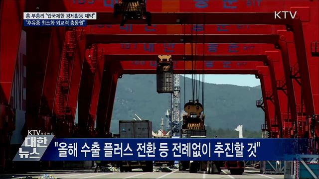 홍 부총리 "입국제한 후유증 최소화에 외교력 총동원"