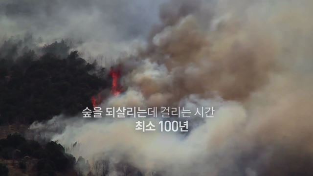 산불예방 홍보동영상 - 산림청