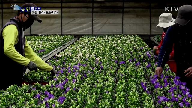 봄꽃 나눔 행사···화훼 농가 도웁시다 