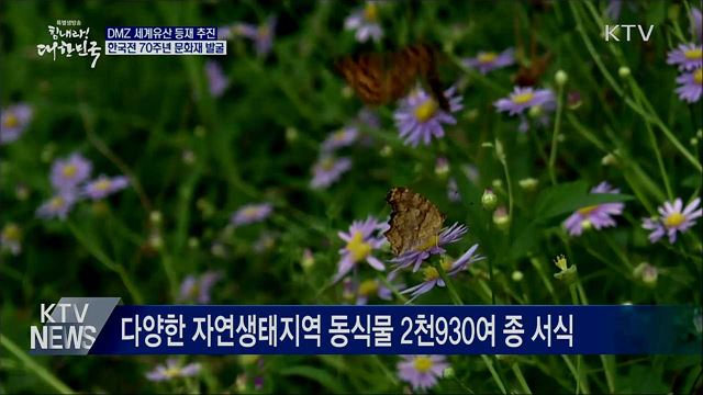 DMZ 세계유산 등재 추진···한국전 70주년 문화재 발굴