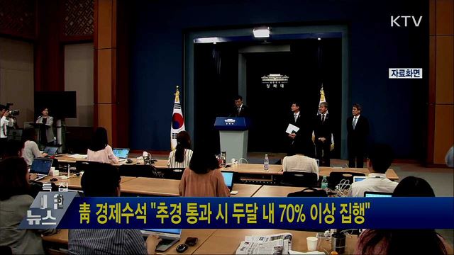 靑 경제수석 "추경 통과 시 두달 내 70% 이상 집행"