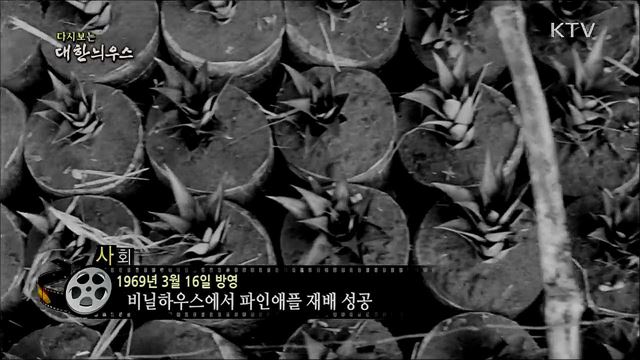 다시보는 대한늬우스 (69. 3. 16)