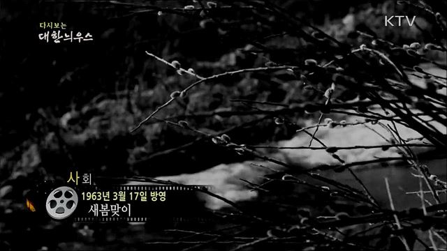 다시보는 대한늬우스 (63. 3. 17)