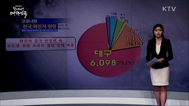국내 '코로나19' 확진자 현황